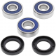 All Balls, sada ložisek a gufer zadního kola, Honda VT 600 C '88-'00, CBR 600 F '87-'90, CB 750 SEVEN FIFTY '91-'02, CB450SC`